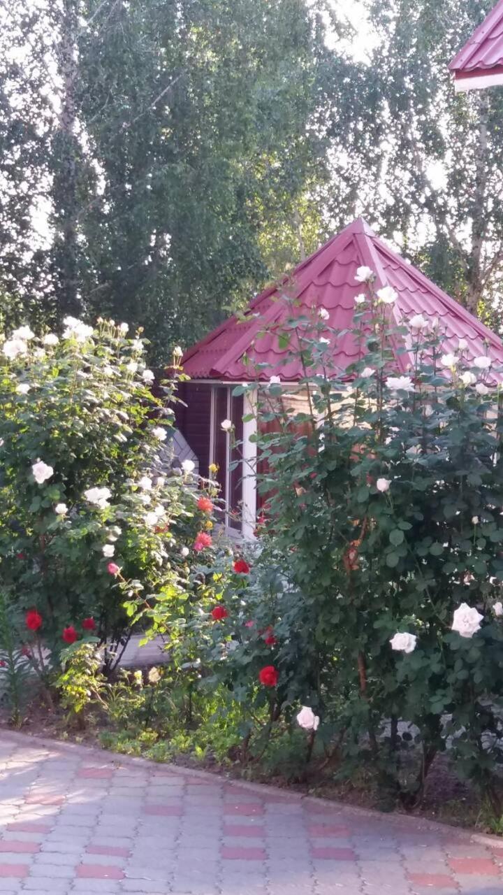 Hotel Tropicana Szvitlovodszk Kültér fotó