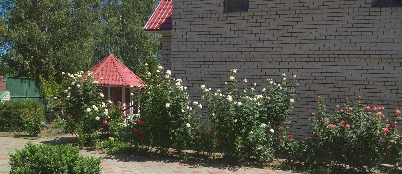 Hotel Tropicana Szvitlovodszk Kültér fotó